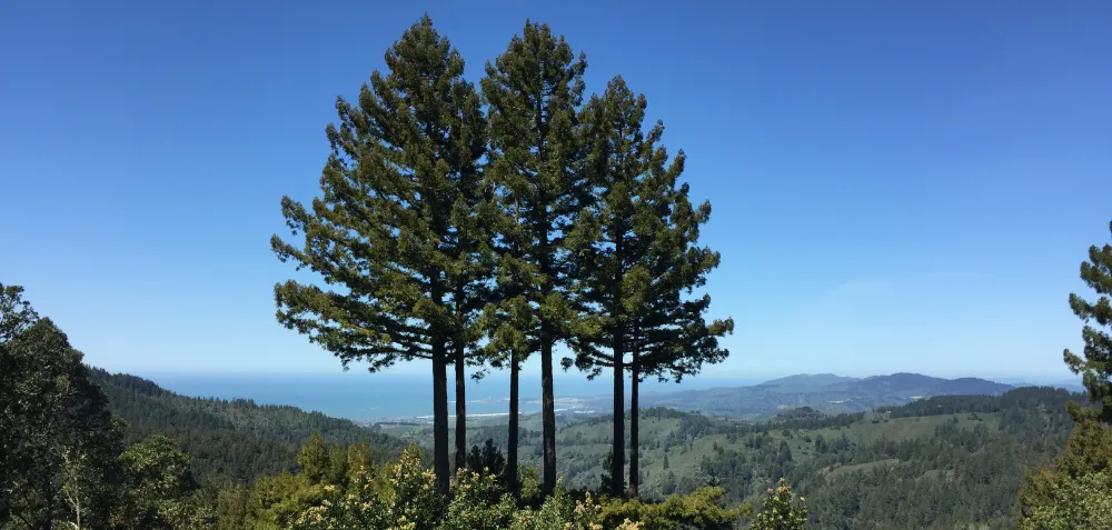 Kings Mountain